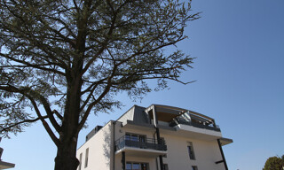 Photo N° 3