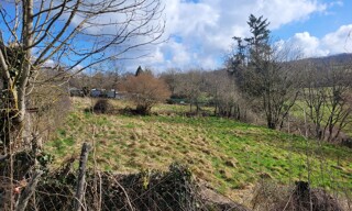 Photo N° 4