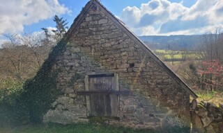 Photo N° 5