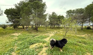 Photo N° 3