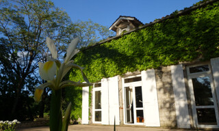 Photo N° 4