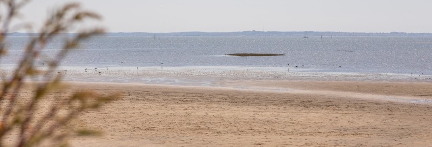 Maison 6 Pièces 150 m² à vendre à Arès (33740)