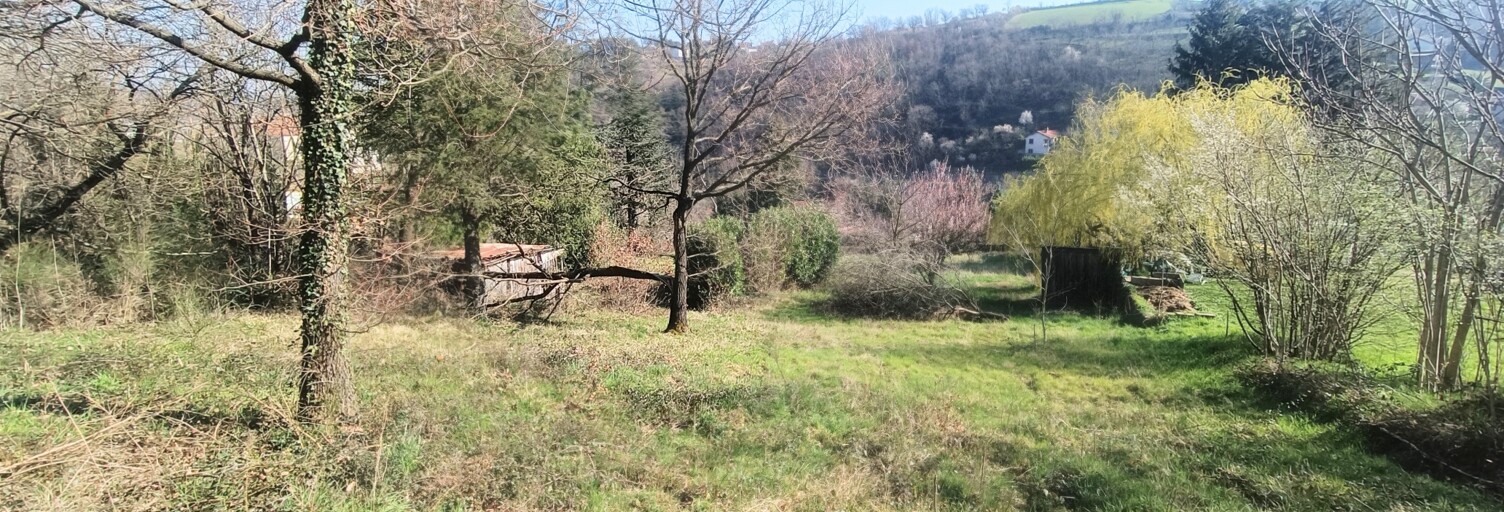 Terrain  2538 m² à vendre à Châteauneuf (42800)