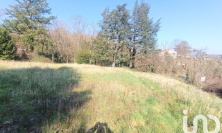 Photo N° 4