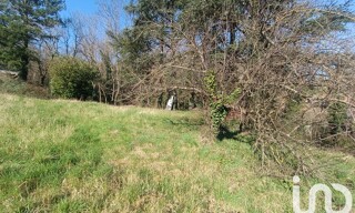 Photo N° 6