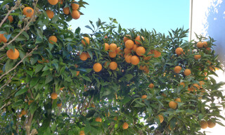Photo N° 2