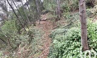 Terrain  1000 m² à vendre à Gorbio (06500)