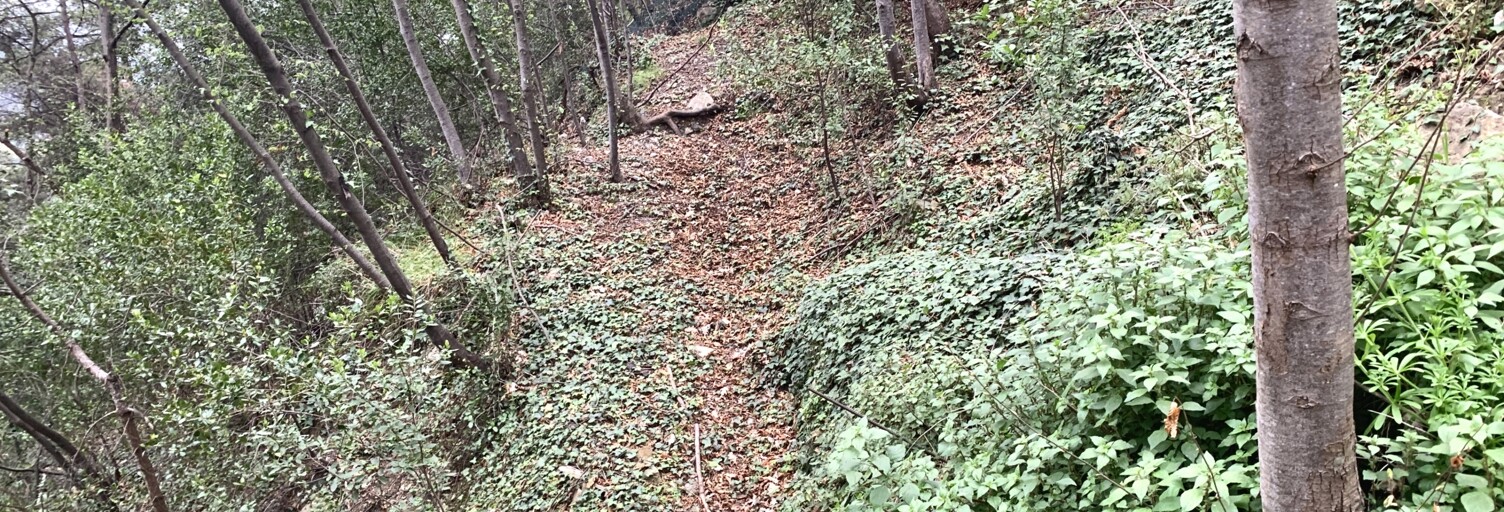 Terrain  1000 m² à vendre à Gorbio (06500)