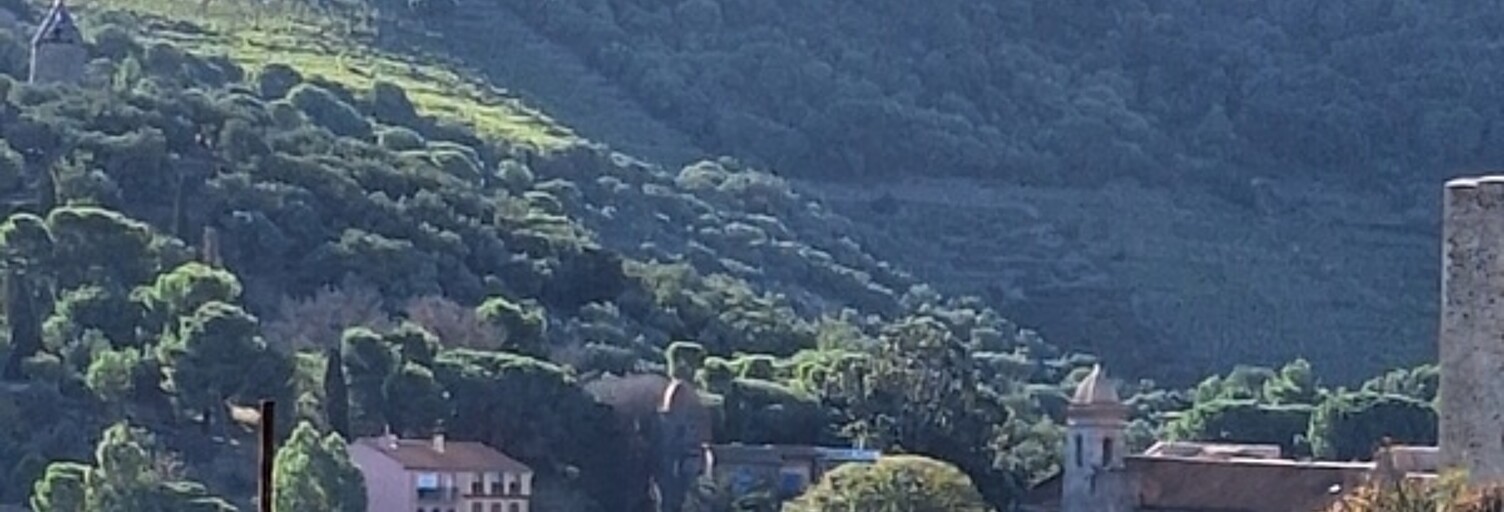 Appartement 4 Pièces 69 m² à vendre à Collioure (66190)