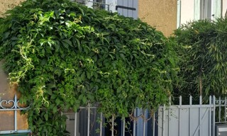 Maison 4 Pièces 50 m² à louer à Cabannes (13440)