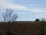 Terrain de 3340 m2 à Moncorneil-Grazan face aux Pyrénées — photo 2
