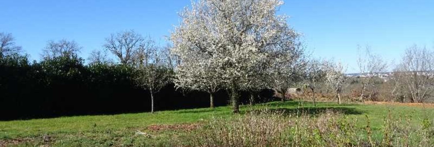 Terrain  1200 m² à vendre à Panazol (87350)