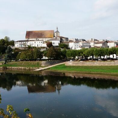 Appartement 2 pièces 470 €