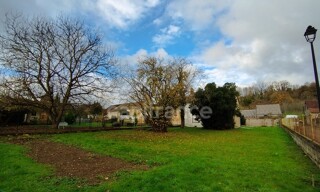 Photo N° 6