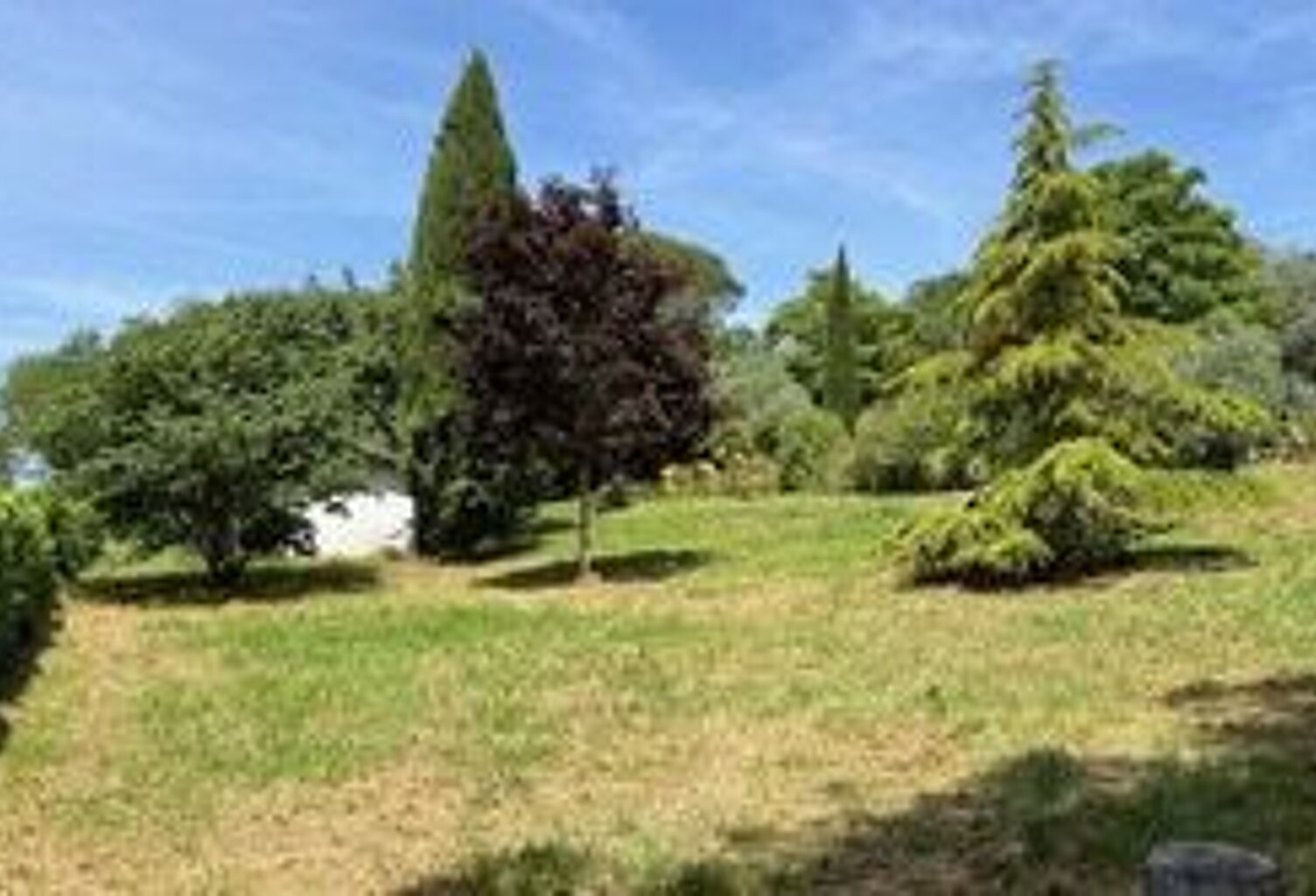 Terrain — photo 1