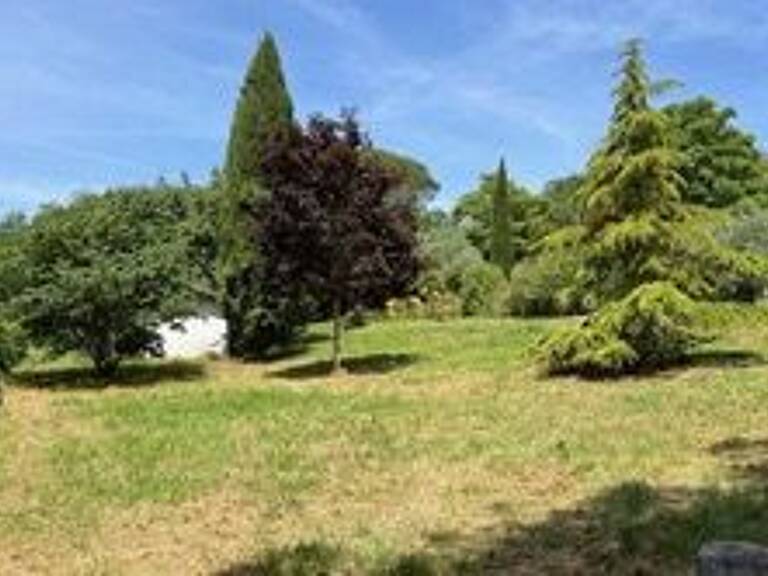 Terrain — photo 1