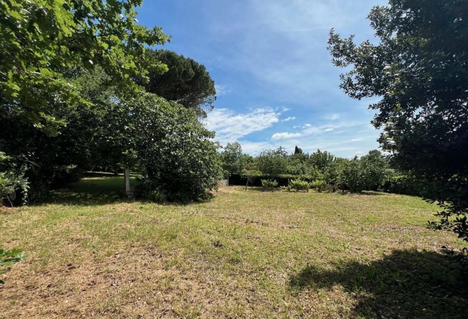 Terrain — photo 1