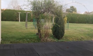 Photo N° 14