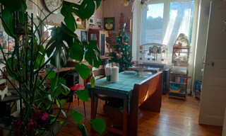 Photo N° 4