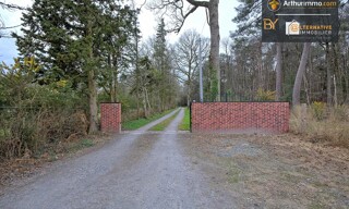 Photo N° 6
