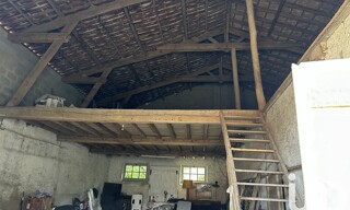 Photo N° 6