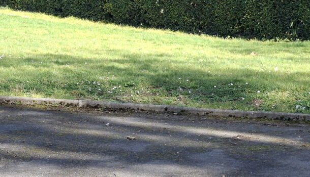 Terrain  à vendre Garris 64120