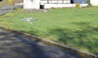 Photo N° 4
