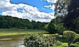 Photo N° 5