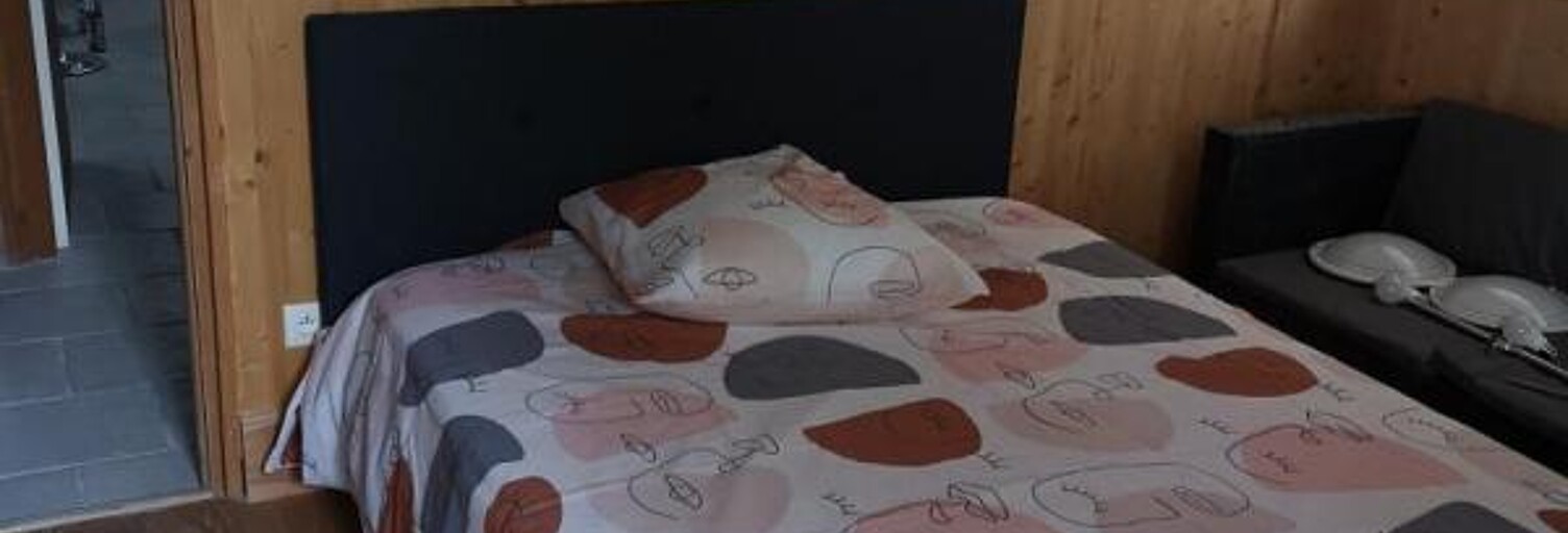 Appartement 1 Pièce 30 m² à louer à Saint-Étienne (42000)