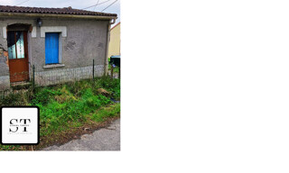 Photo N° 6