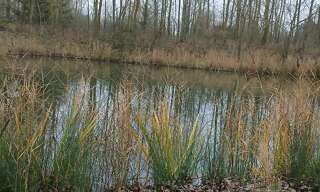 Commerce  3141 m² à vendre à Lille (59000)