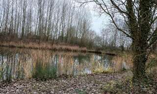 Commerce  3296 m² à vendre à Lille (59000)