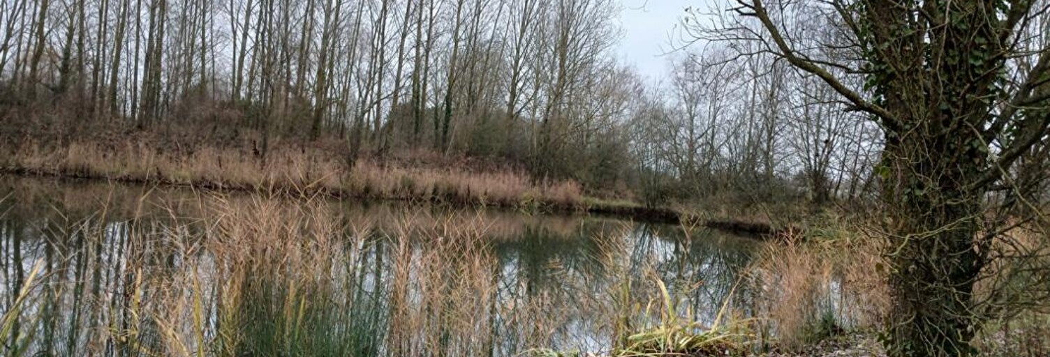 Commerce  3296 m² à vendre à Lille (59000)