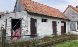 Photo N° 4