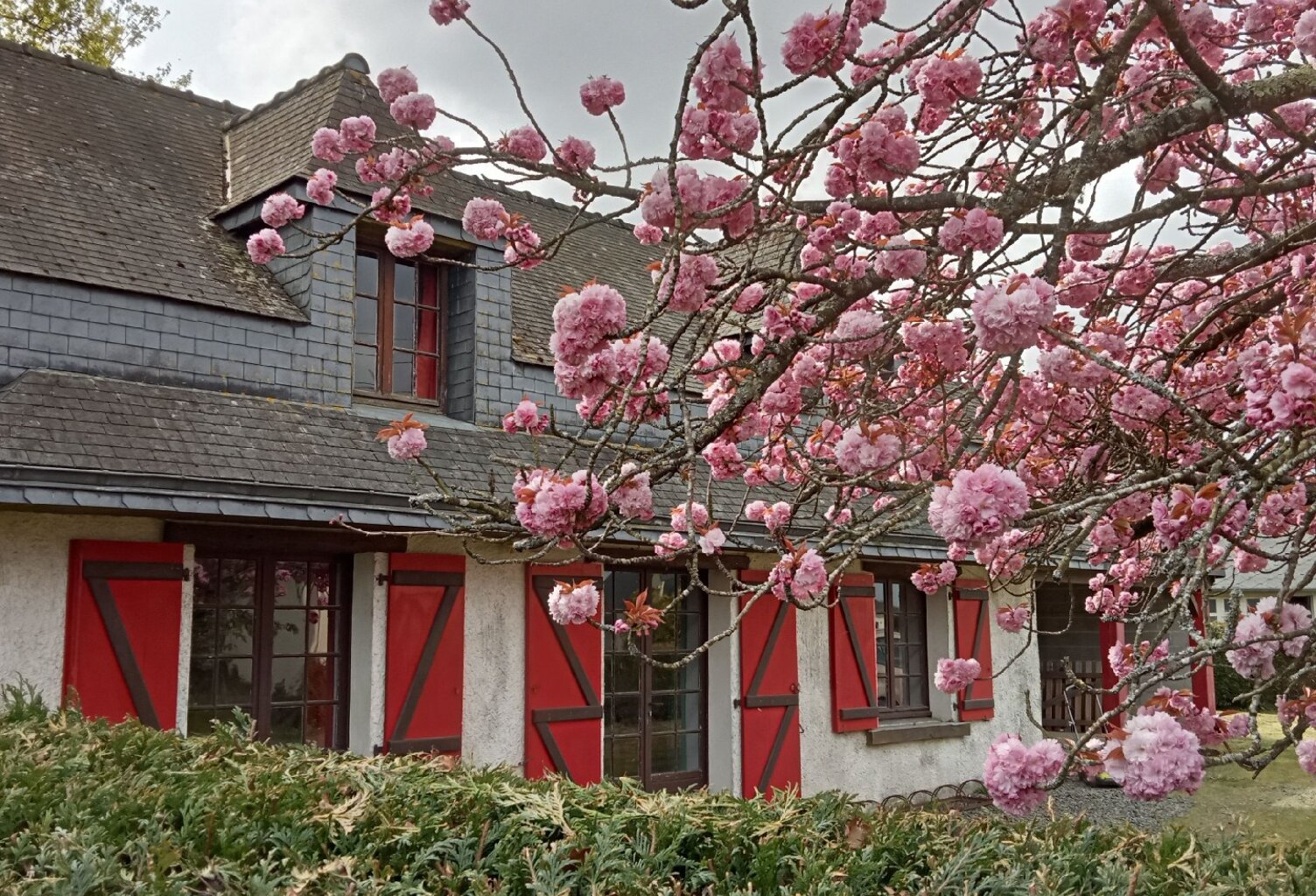 A VENDRE MAISON - SOQUET IMMOBILIER - ÉRÉAC — photo 1