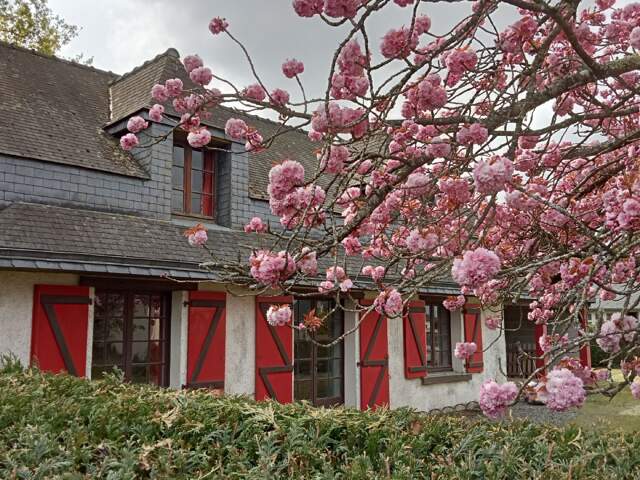 A VENDRE MAISON - SOQUET IMMOBILIER - ÉRÉAC — photo du bien