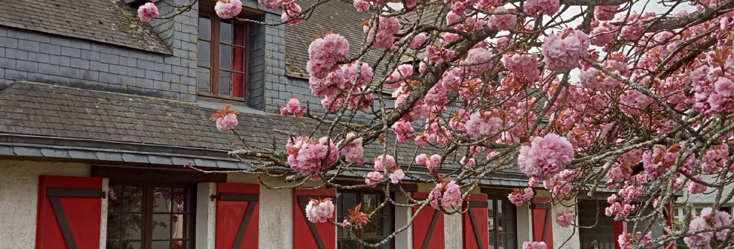 Maison 6 Pièces 139 m² à vendre à Éréac (22250)