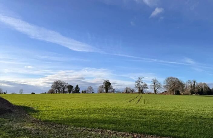 Ferme rénovée avec charme sur grand terrain (Creuse). — photo 5