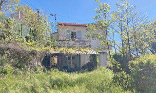 Photo N° 9