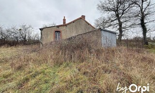 Photo N° 4