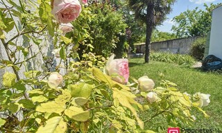 Photo N° 4