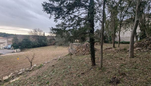 Terrain  à vendre Clapiers 34830