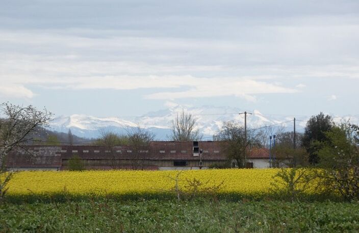 Terrain à vendre Labarthe — photo 4