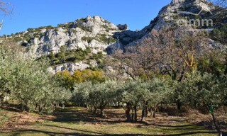Terrain  450 m² à vendre à Cheval-Blanc (84460)