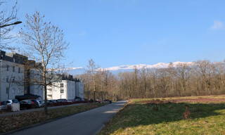 Photo N° 6