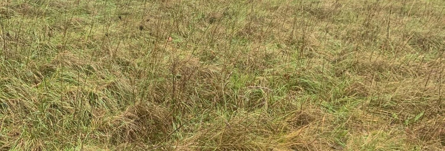 Terrain  1289 m² à vendre à Artemare (01510)