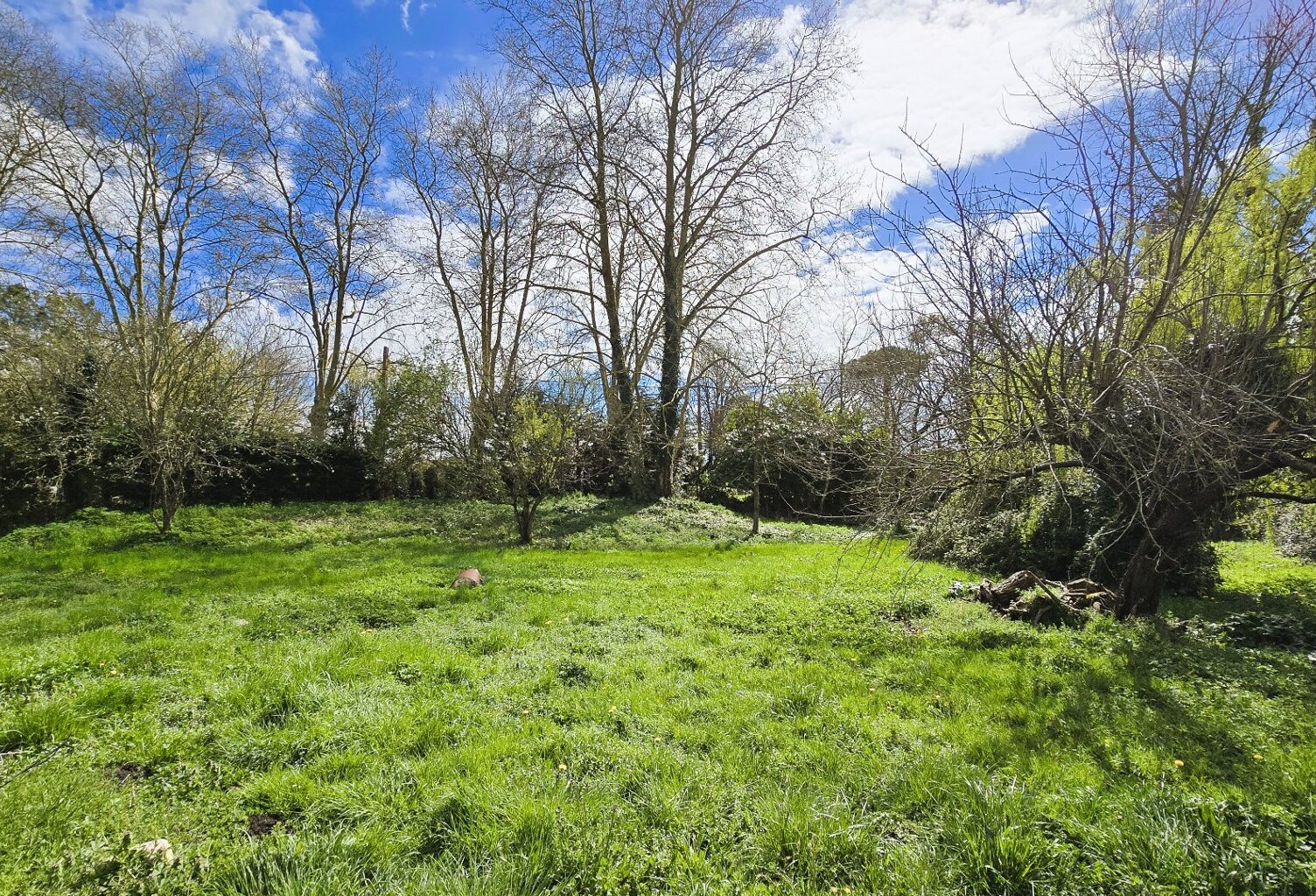 TERRAIN 1100 m² — photo 1