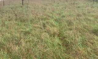 Terrain  1289 m² à vendre à Artemare (01510)