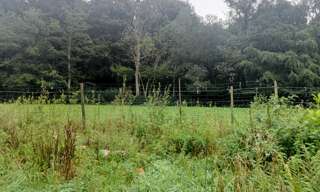 Terrain  699 m² à vendre à Dénestanville (76590)