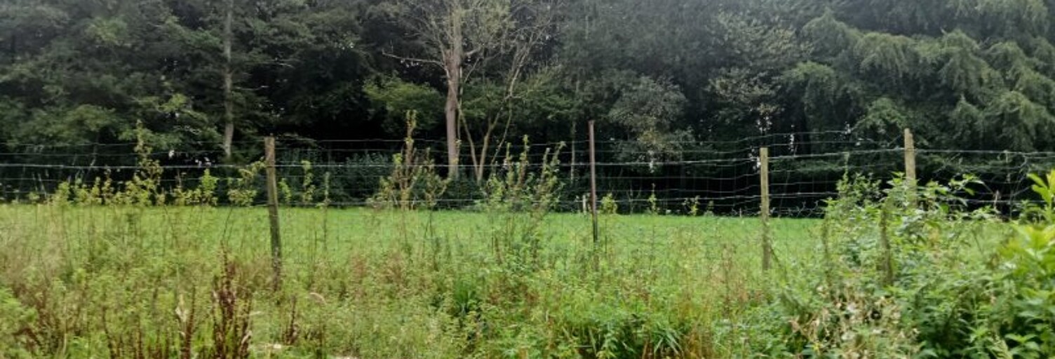 Terrain  699 m² à vendre à Dénestanville (76590)